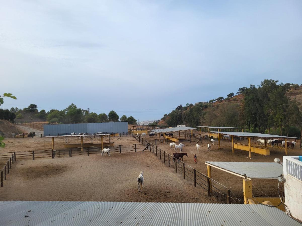 Finca Palmers Dos Mijas Zewnętrze zdjęcie